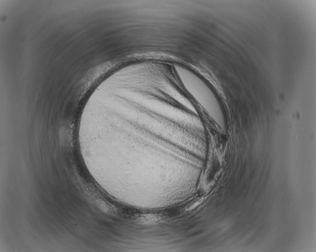 X0000085060111200704021355