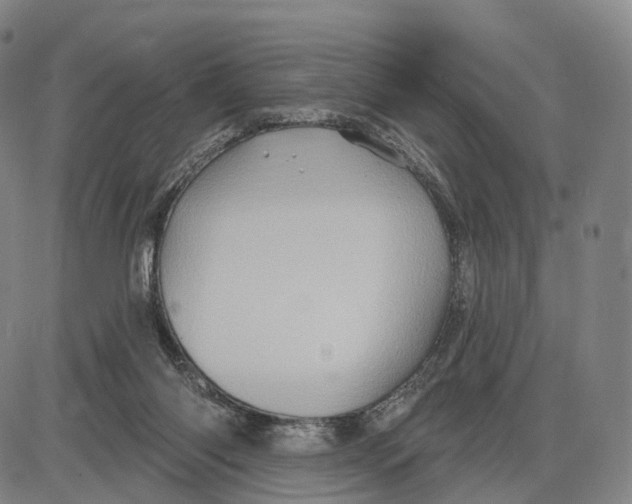 X0000085060118200704021355