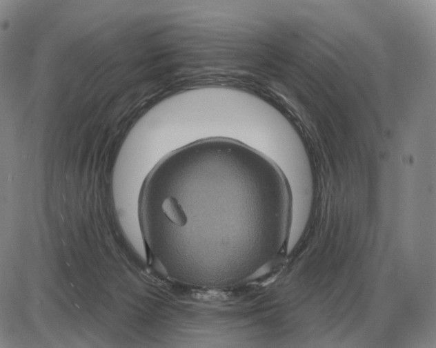 X0000085060125200704021355