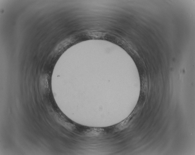 X0000085060128200704021355