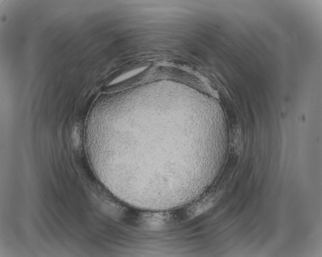 X0000085060131200704021355