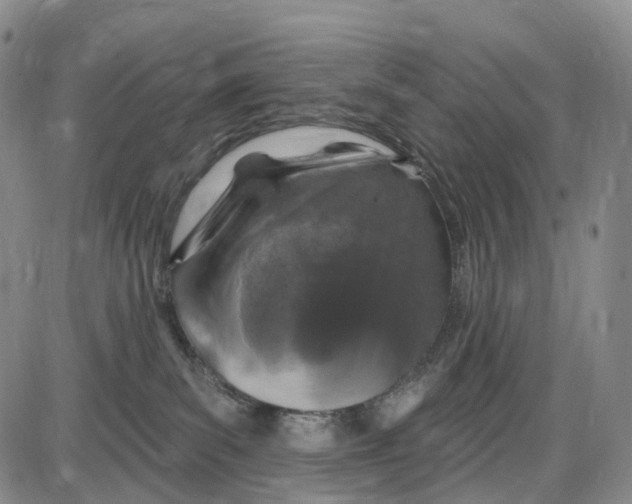X0000085060139200704021354