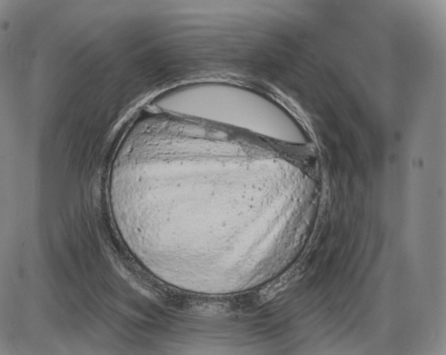 X0000085060155200704021354