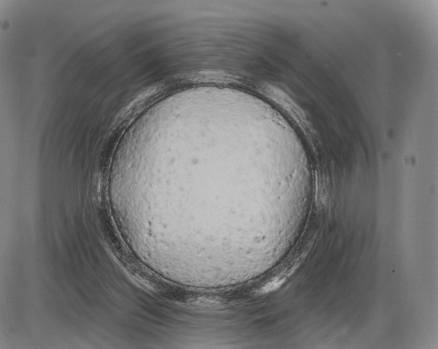 X0000085060157200704021354