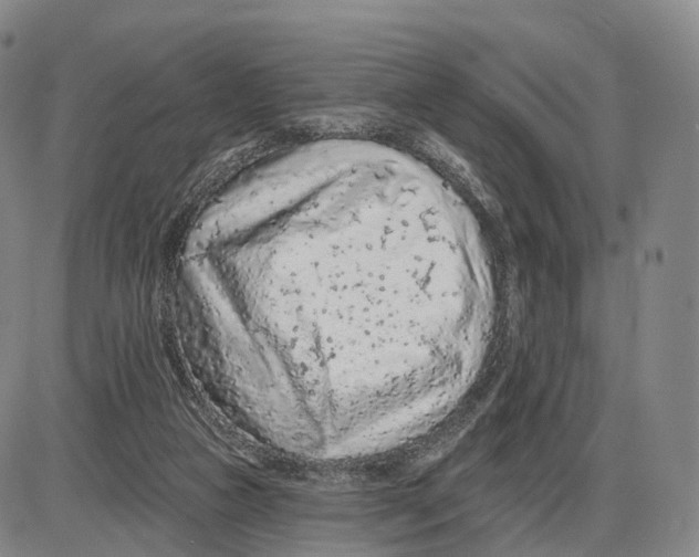 X0000085060161200704021354