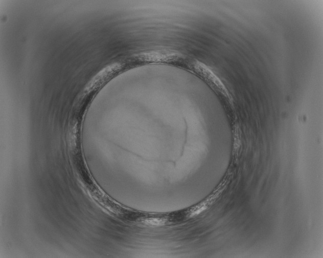 X0000085060163200704021354