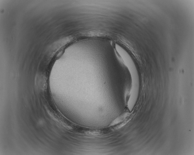 X0000085060164200704021354
