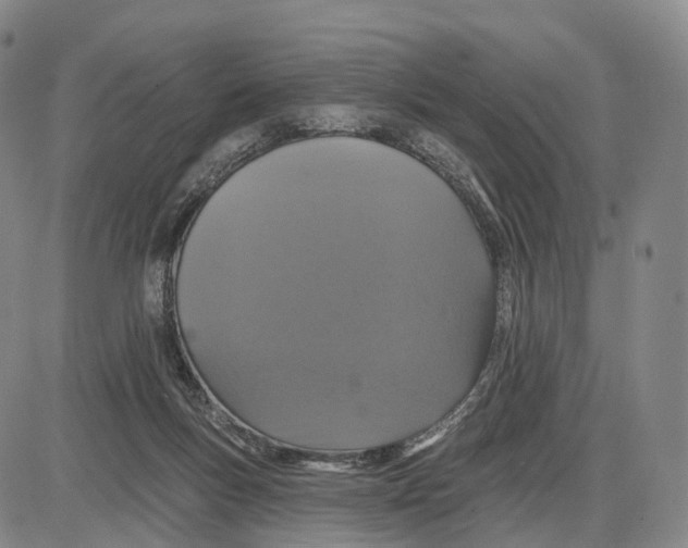 X0000085060167200704021354