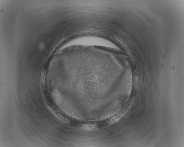 X0000085060168200704021354
