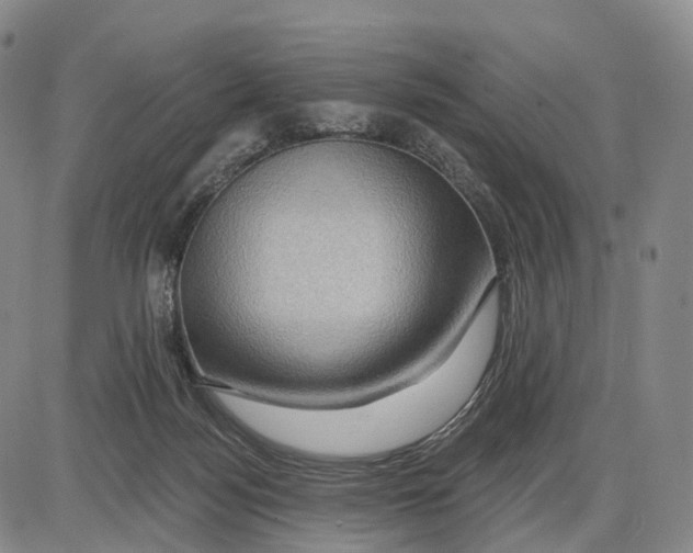 X0000085060172200704021354