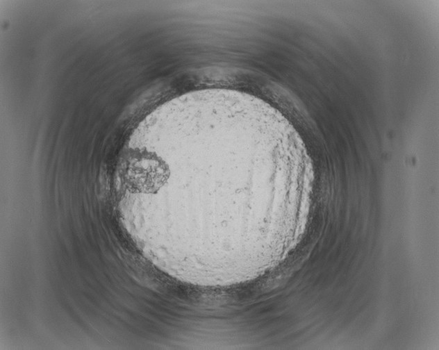 X0000085060173200704021354