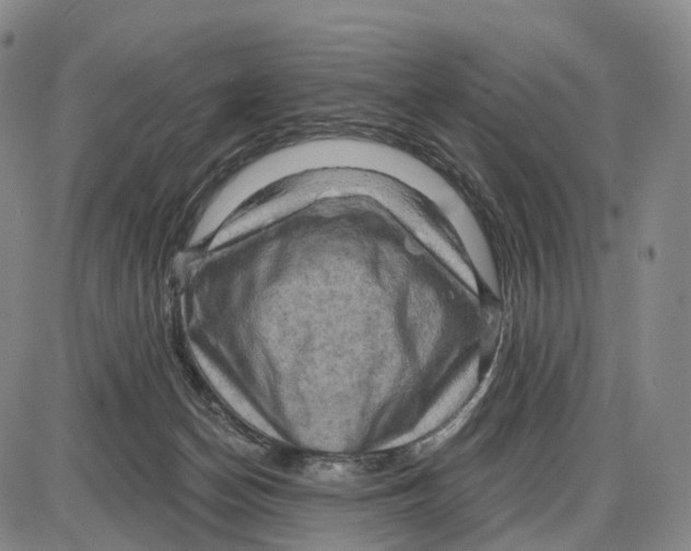 X0000085060174200704021354