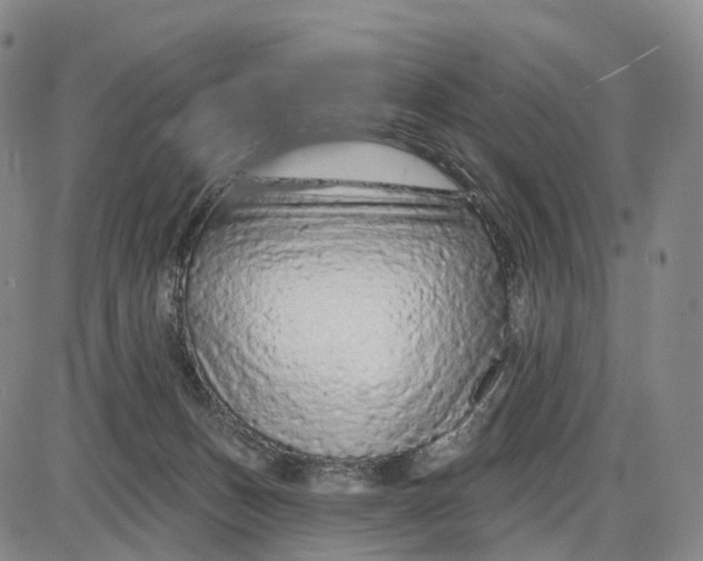 X0000085060175200704021354