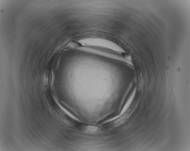 X0000085060176200704021354