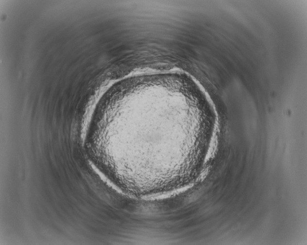 X0000085060177200704021354