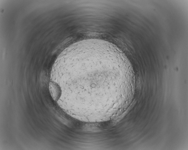 X0000085060179200704021354