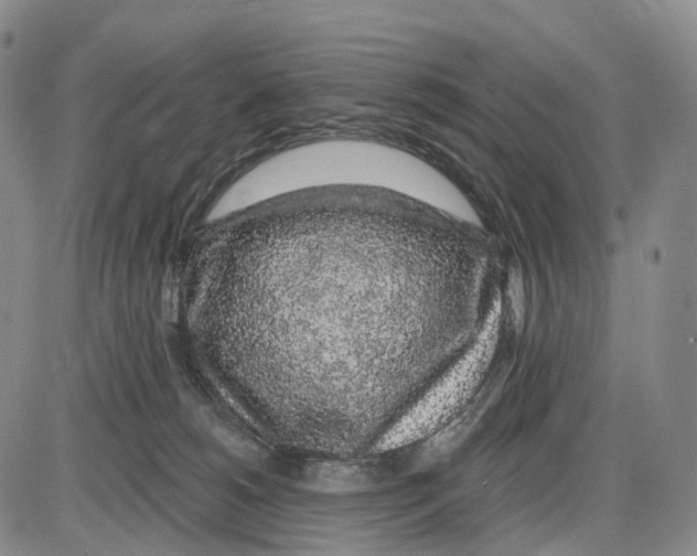 X0000085060180200704021354