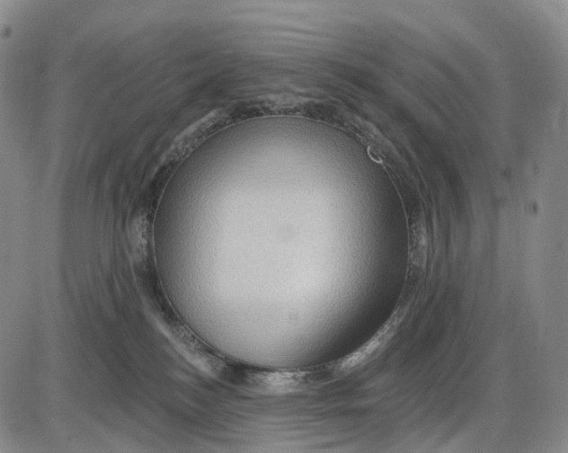 X0000085060184200704021354