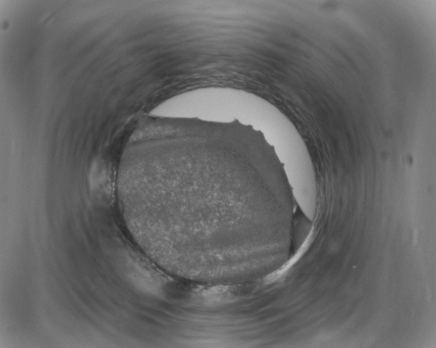 X0000085060186200704021354