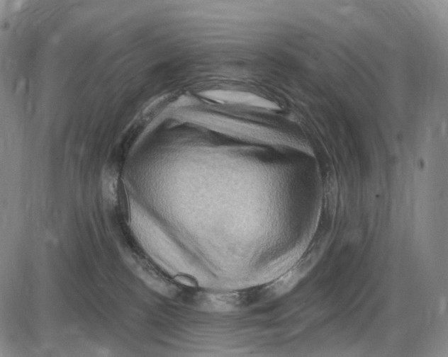 X0000085060188200704021354