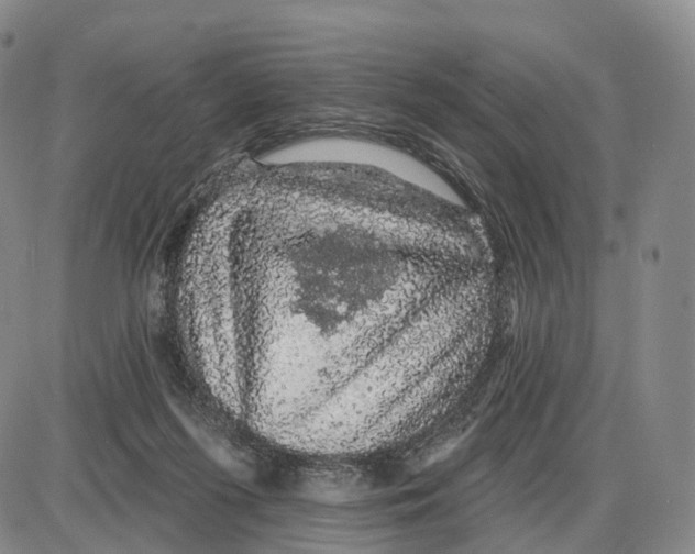 X0000085060215200704021353