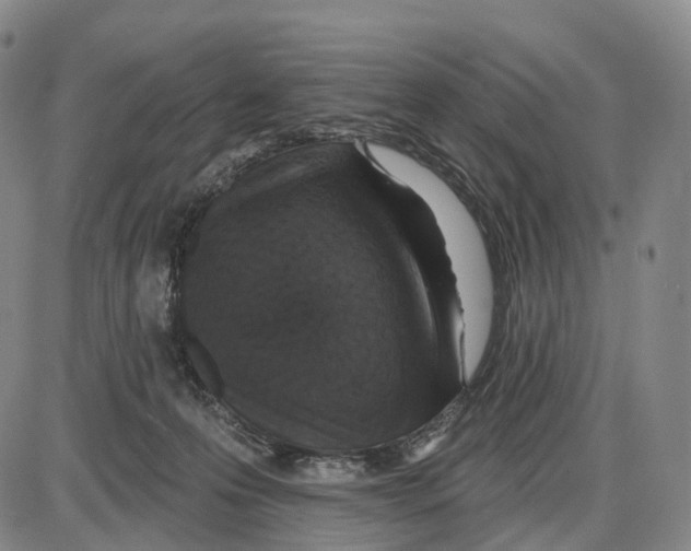 X0000085060223200704021353