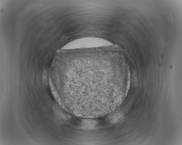 X0000085060234200704021353