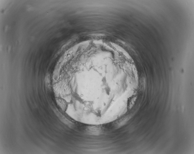 X0000085060238200704021353