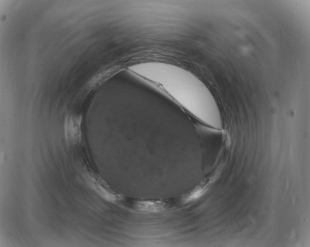 X0000085060239200704021353