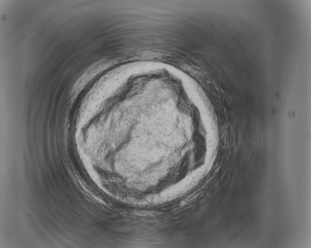 X0000085060242200704021352