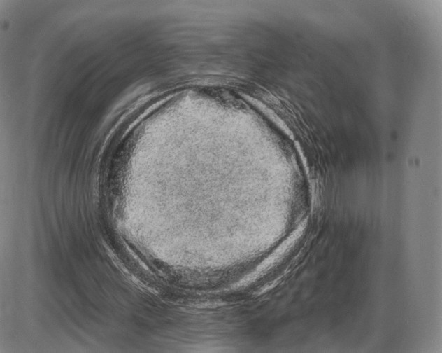 X0000085060243200704021352