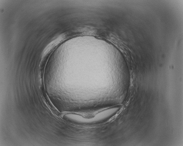 X0000085060245200704021352