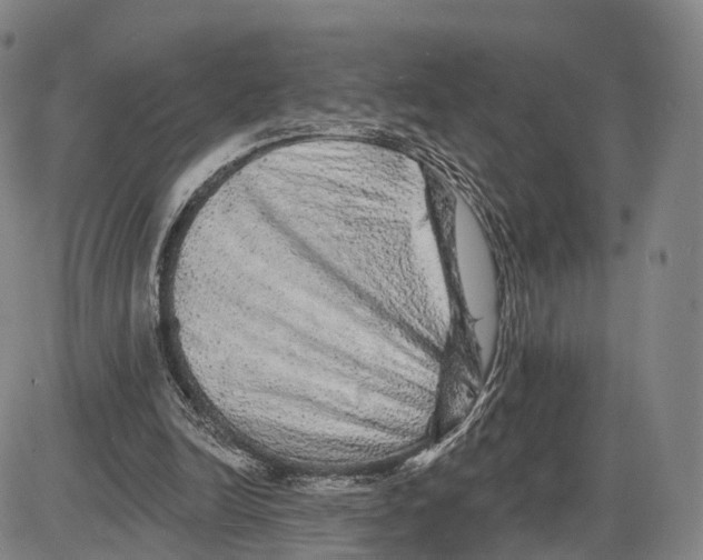 X0000085060246200704021352