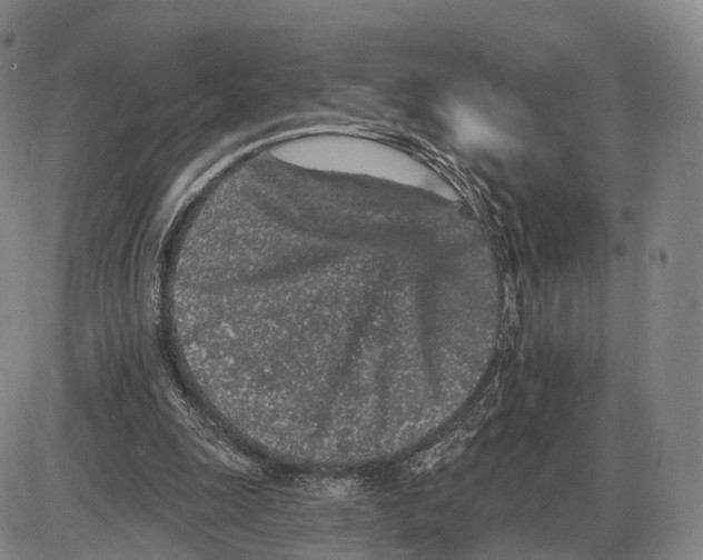 X0000085060247200704021352