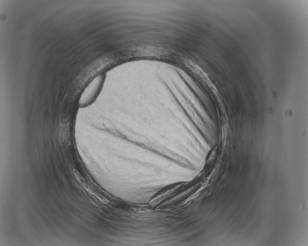 X0000085060249200704021352