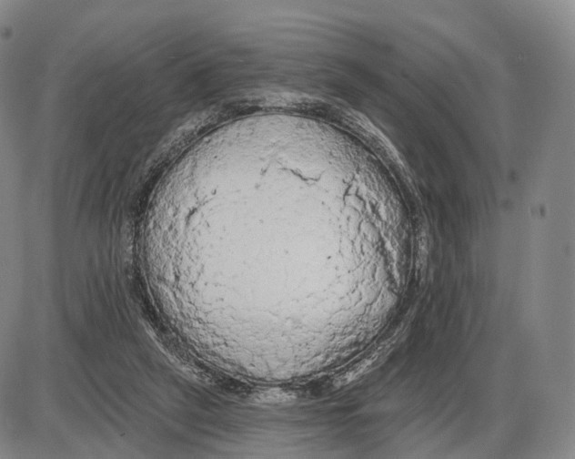 X0000085060257200704021352