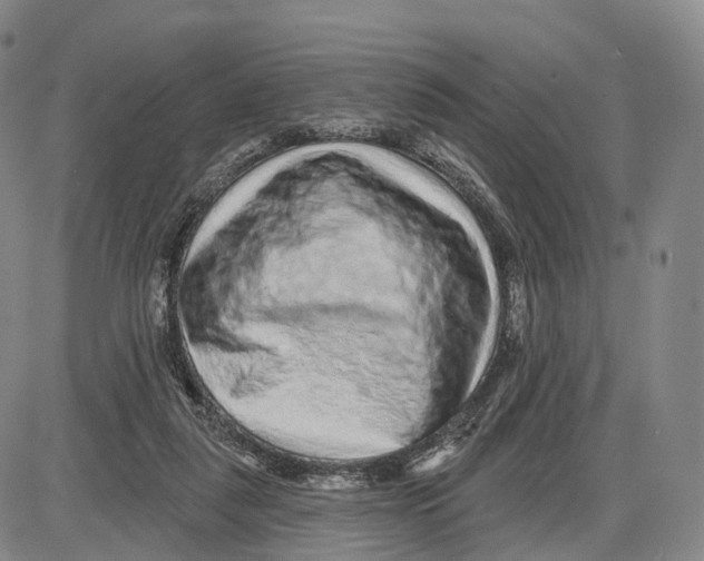 X0000085060259200704021352