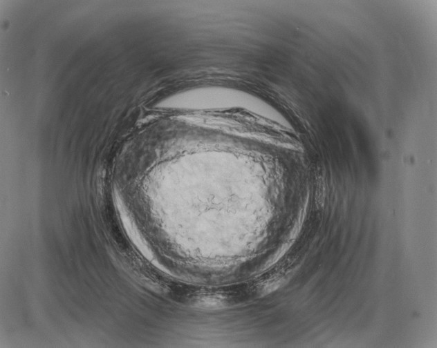 X0000085060263200704021352