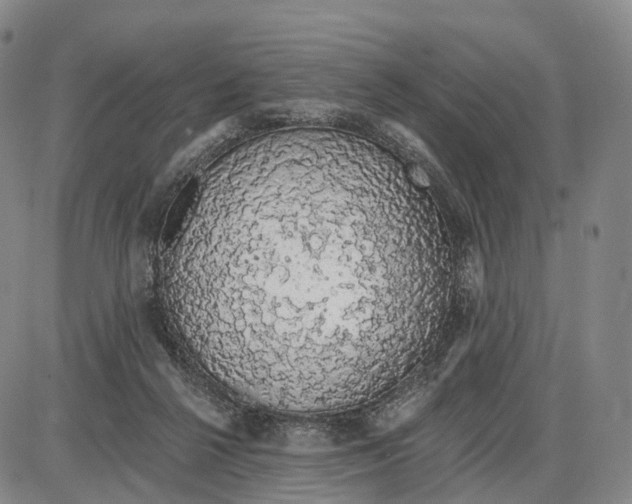 X0000085060264200704021352