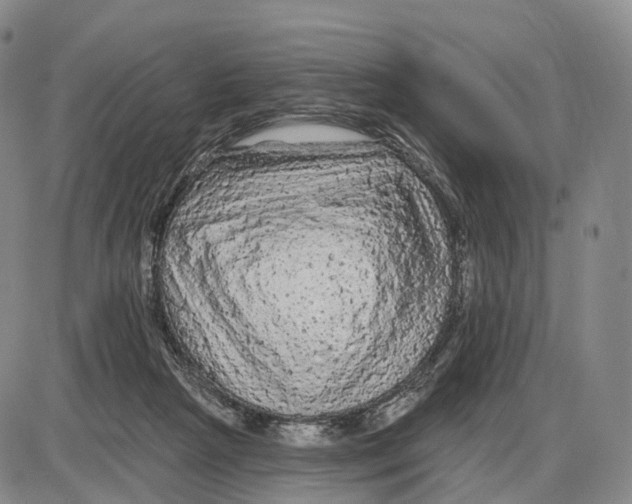 X0000085060265200704021352