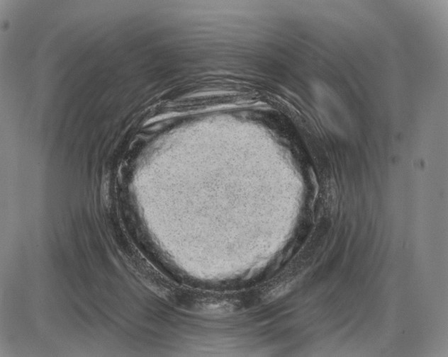 X0000085060267200704021352