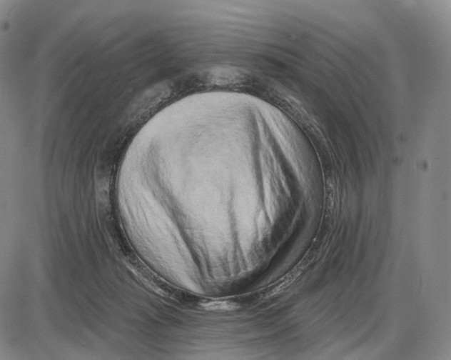 X0000085060269200704021352