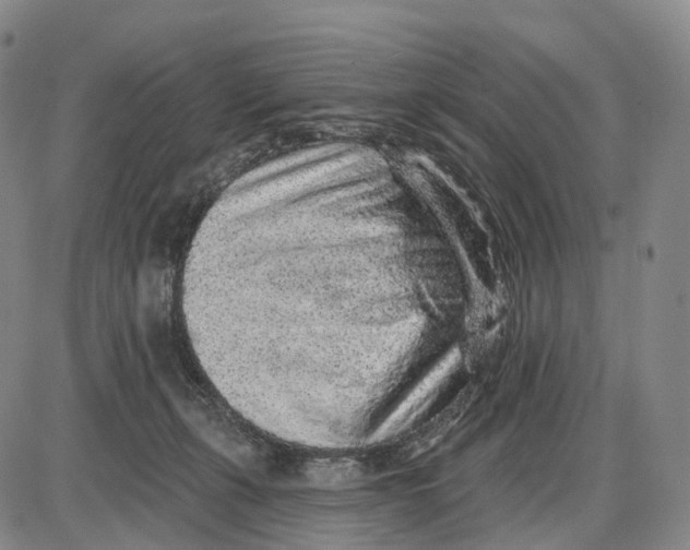 X0000085060271200704021352