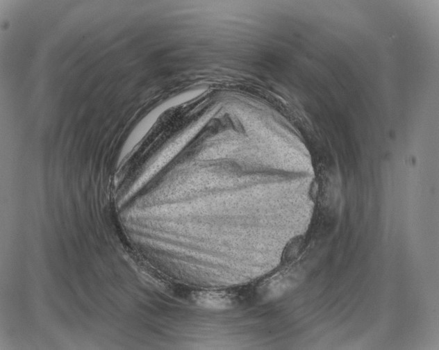 X0000085060273200704021352