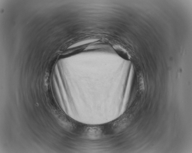 X0000085060275200704021353