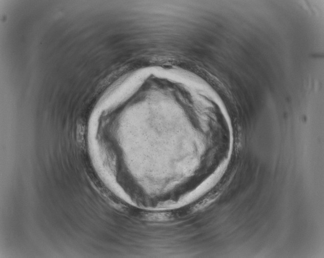 X0000085060281200704021353