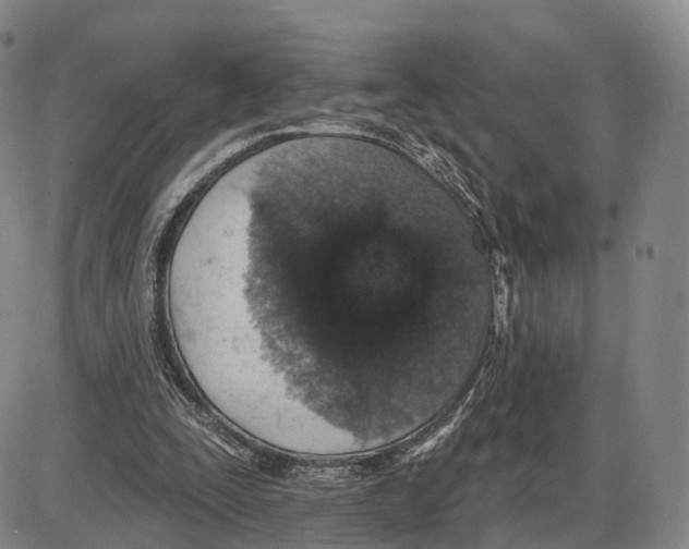 X0000085060295200704021352