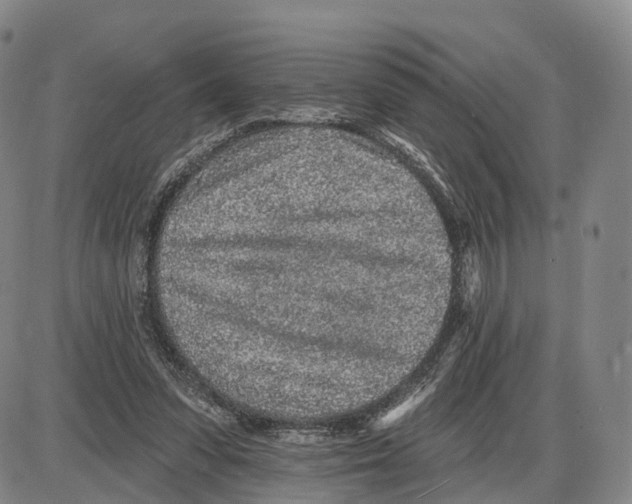 X0000085060303200704021352