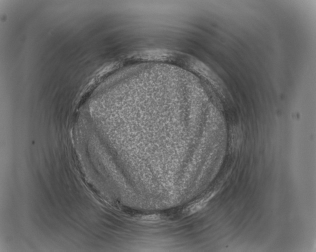 X0000085060309200704021352
