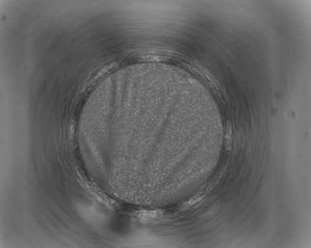 X0000085060314200704021352